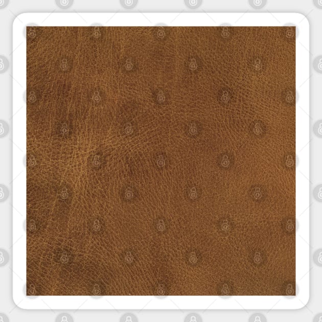 Brown Leather Sticker by Looly Elzayat